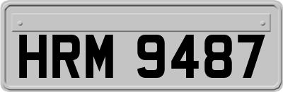HRM9487