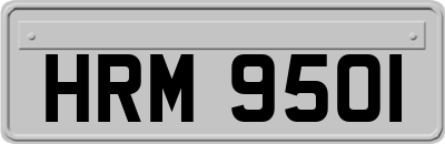 HRM9501