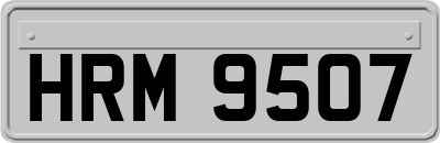 HRM9507