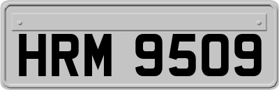 HRM9509