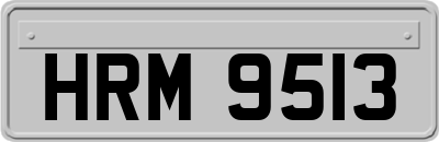 HRM9513