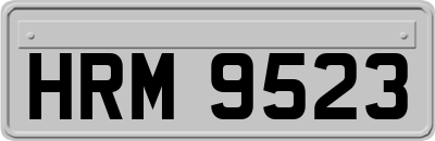HRM9523