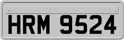 HRM9524