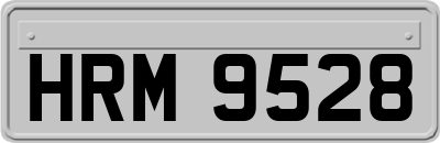 HRM9528