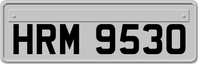 HRM9530