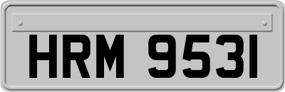 HRM9531