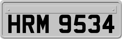 HRM9534
