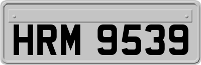 HRM9539