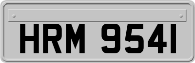 HRM9541