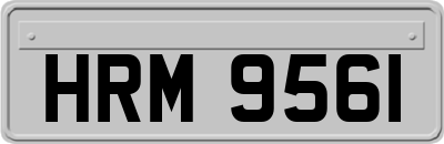 HRM9561