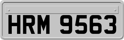 HRM9563