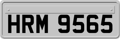 HRM9565