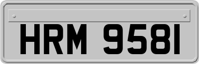 HRM9581