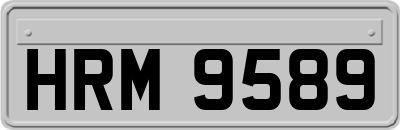 HRM9589