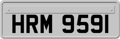 HRM9591