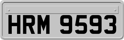 HRM9593
