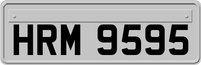 HRM9595