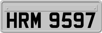 HRM9597