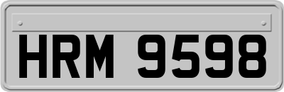HRM9598