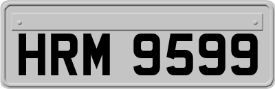 HRM9599