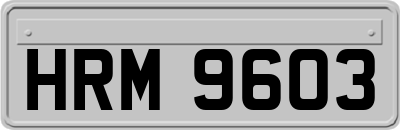 HRM9603