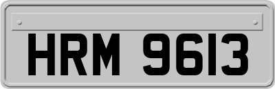 HRM9613