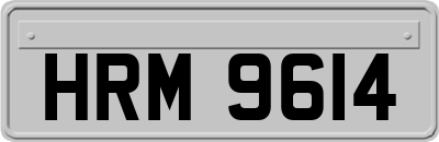 HRM9614