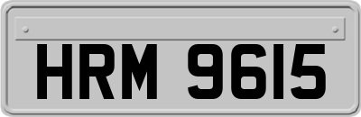 HRM9615