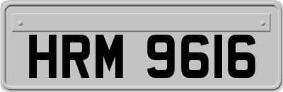 HRM9616
