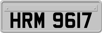 HRM9617