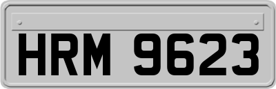 HRM9623