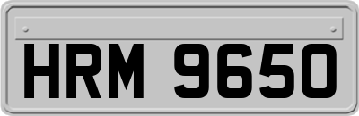HRM9650