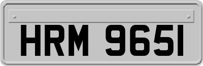HRM9651