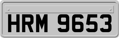 HRM9653