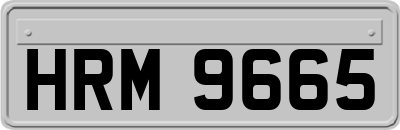HRM9665