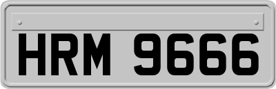 HRM9666
