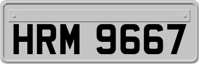 HRM9667