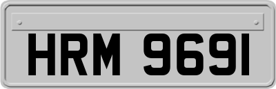 HRM9691