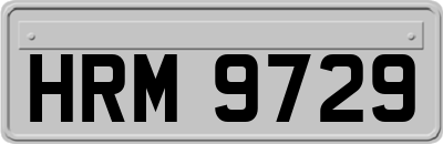 HRM9729