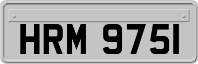 HRM9751
