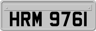HRM9761