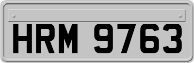 HRM9763