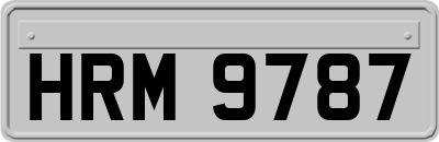 HRM9787