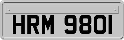 HRM9801