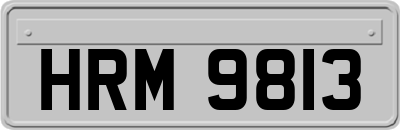 HRM9813