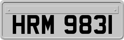 HRM9831