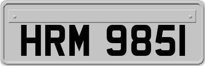 HRM9851