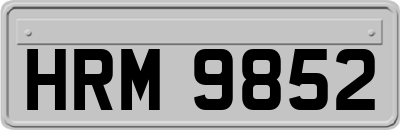 HRM9852