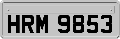 HRM9853