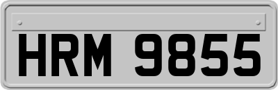 HRM9855